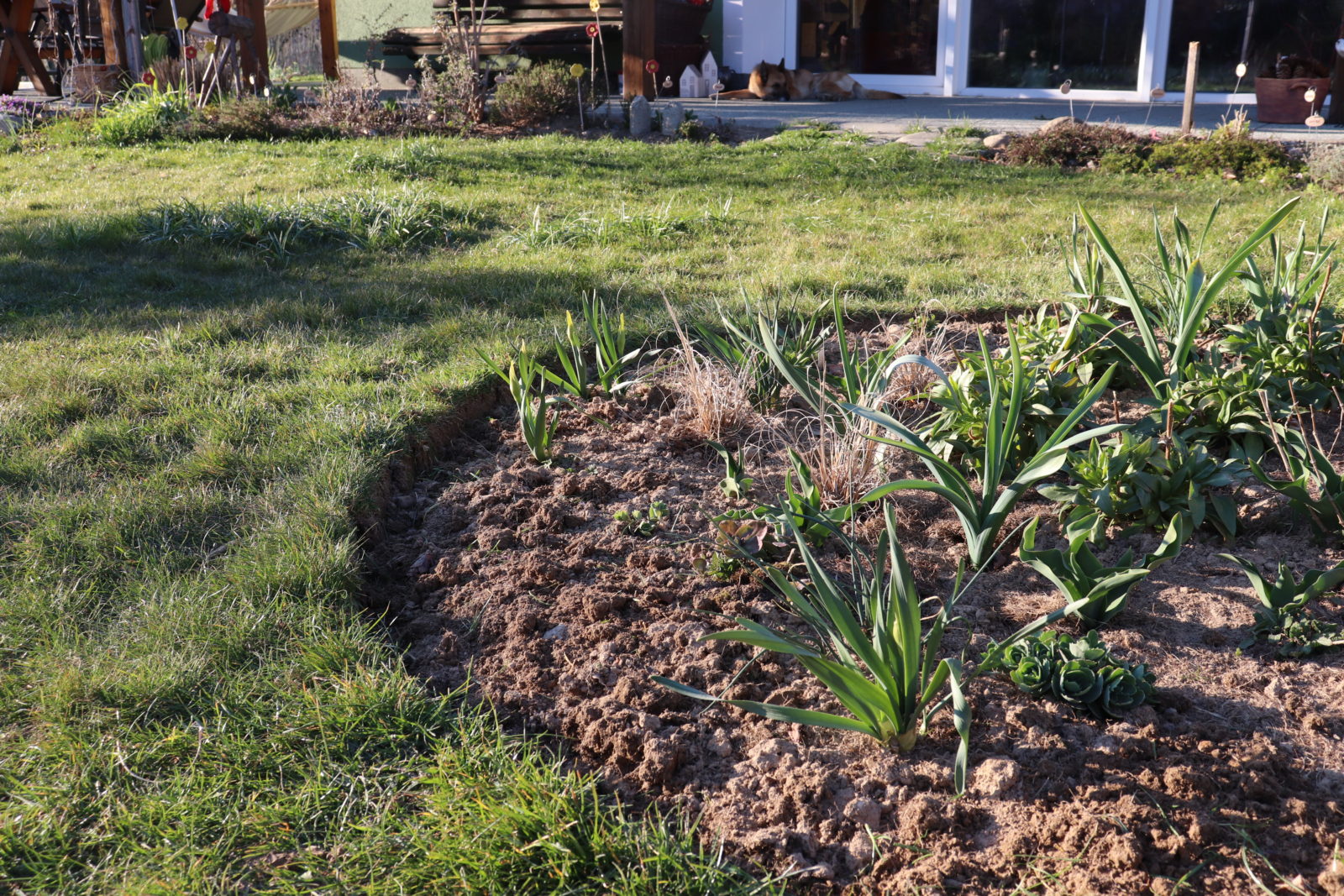 repellat non provident